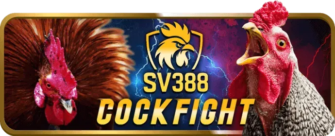 PQ88 App hợp tác độc quyền, ra mắt sự kiện VIP đặc biệt